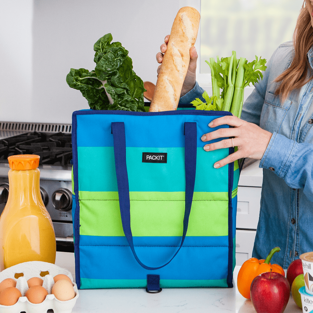 freezable-grocery-tote-u1 2020_Grocery_FreshStripe_Lifestyle_1_Hires.png